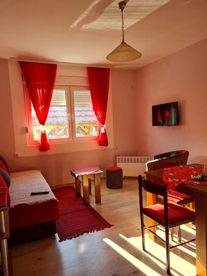 Apartman "Nina" Soko Banja Exterior foto
